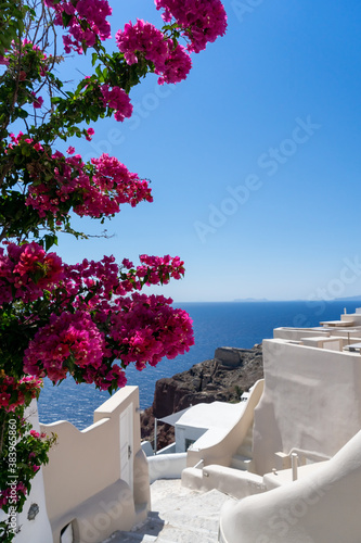 Fototapeta Naklejka Na Ścianę i Meble -  Street of Oia town in Santorini island with pink bougainvilleas, old whitewashed houses and stairs, Greece landscape on a sunny day
