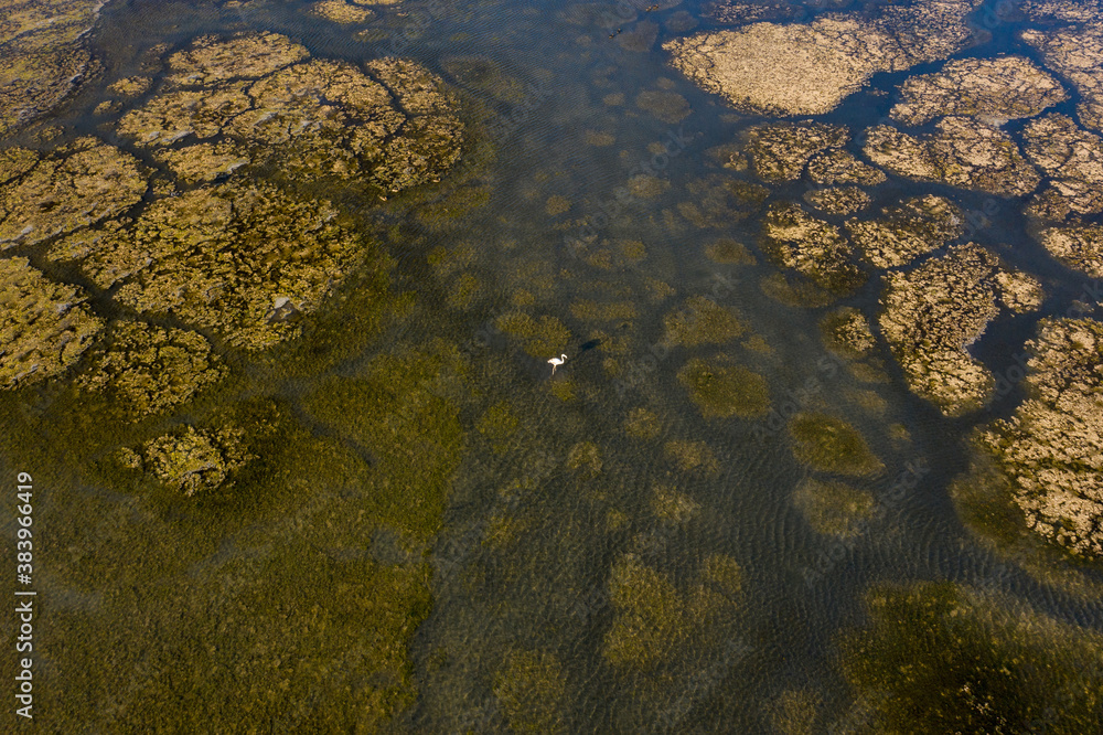 Aerial view of a shallow lagoon with wetland and calm water.
