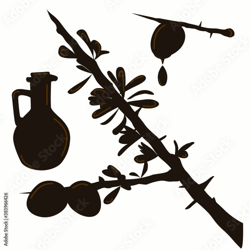 Argan tree branch, oil bottle and fruit with oil drops on a white background. Solid color icons