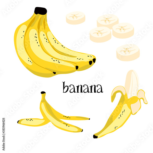 Vector illustration of an exotic tropical ripe banana. Image of a bunch of bananas, peel, half-peeled and sliced fruit.
