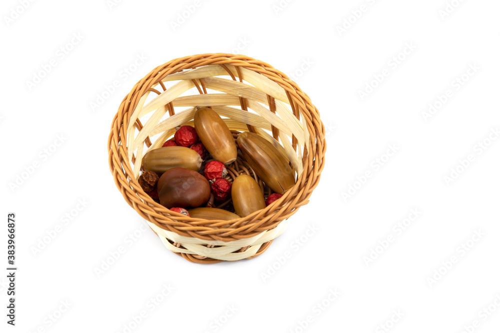 Beautiful wicker basket with acorns and rowan berries on white isolated background