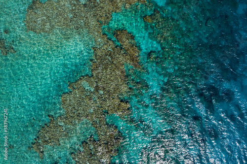 Red Sea Coral reef and coast, Aerial view.