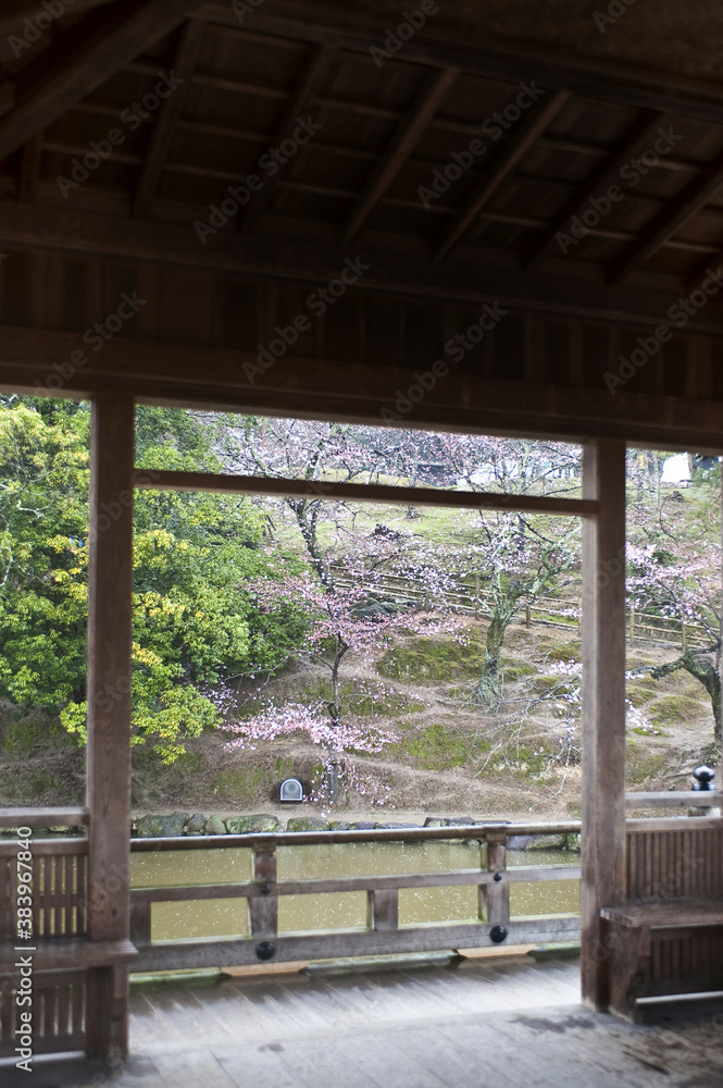 奈良公園の浮舟堂