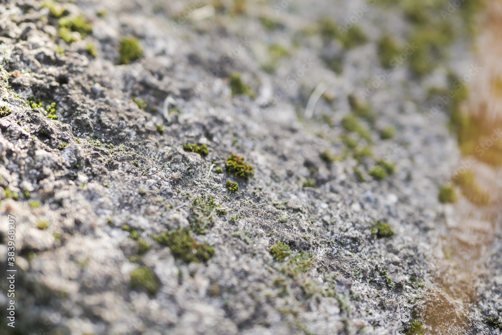 Stone texture with moss. Nature wallpaper. Copy space Stone texture with moss. Nature wallpaper. Copy space