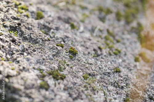 Stone texture with moss. Nature wallpaper. Copy space 