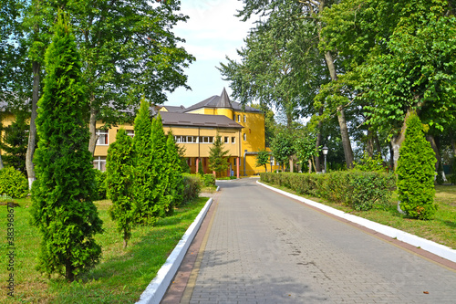 An alley of tuy along the path on the territory of the children's orthopedic sanatorium "Pioneersk." City of Pioneersky, Kaliningrad region