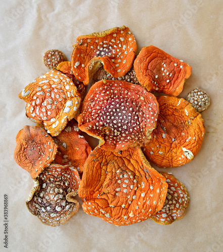 Dried caps of red flyhomors on a bright background