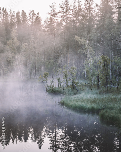 The foggy summer evening in tne north of Karelia