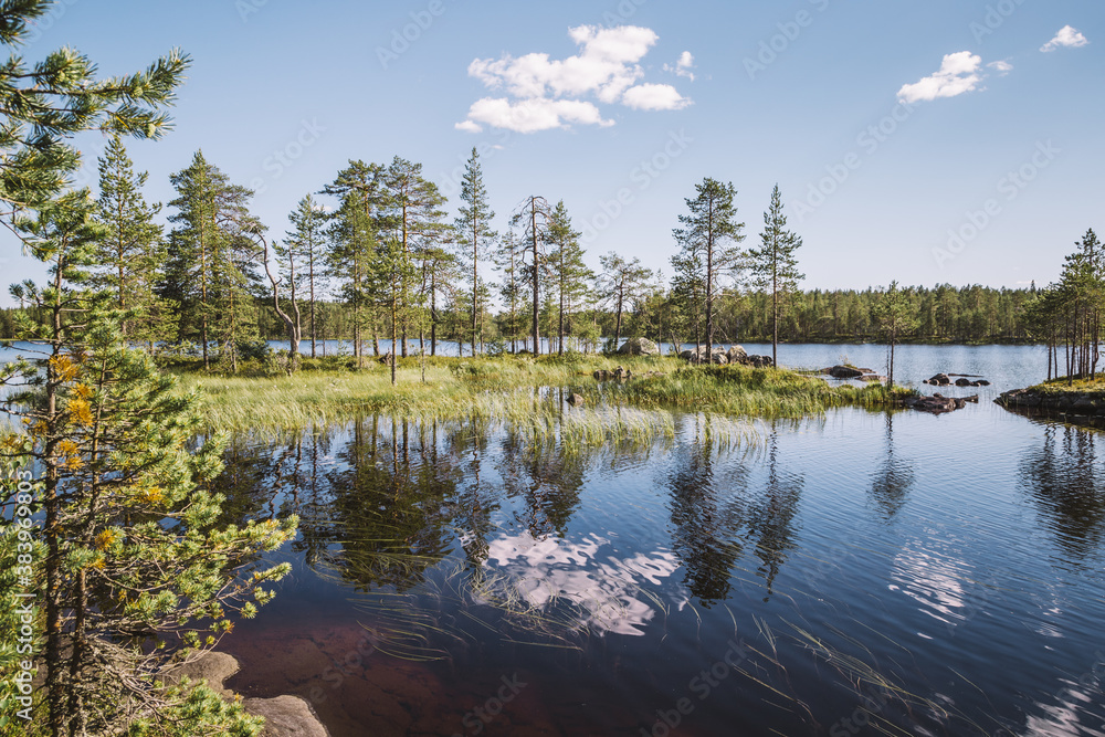 The picturesque view of the Karelian forest