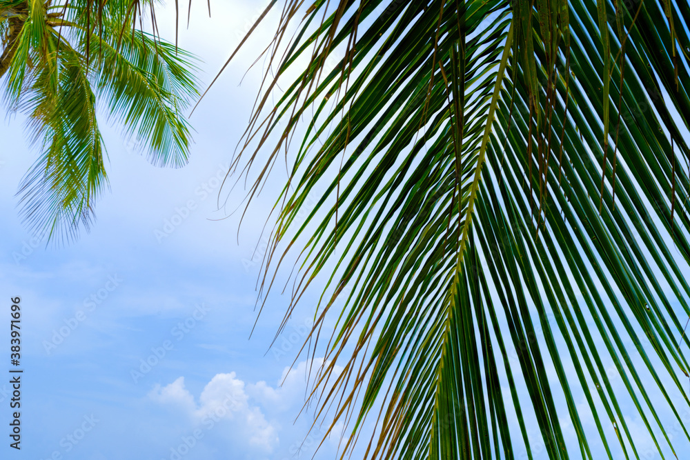 View of nice tropical beach with some palms View of nice tropical beach with some palms