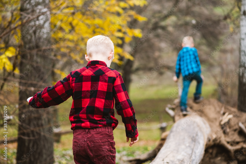 Two boys walk at fallen tree trunk Two boys walk at fallen tree trunk