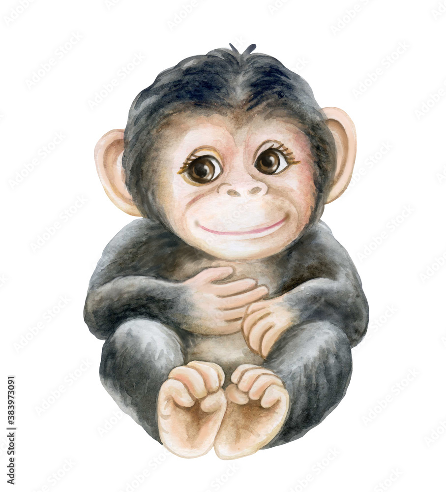 chimpanzee cub, baby isolated on white background. Watercolor.  Illustration. Template Clip art. Childrens illustration. Invitation design  Stock Illustration | Adobe Stock
