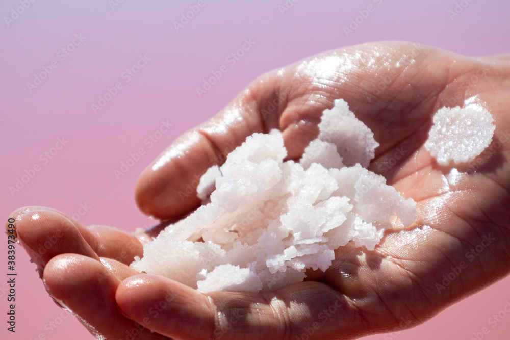 Hand holding bunch of pink white salt flakes crystals above pink lake water surface. Spa resort sunny close-up on Syvash sea, Ukraine