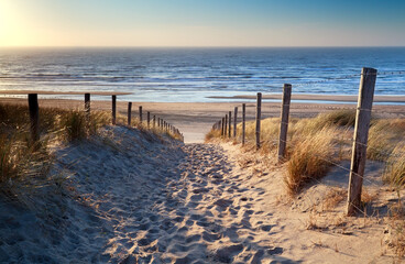 Foto auf Acrylglas Nordsee Weg zum Nordseestrand bei goldenem Sonnenschein  © Yay Images
