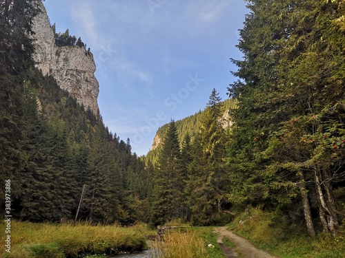 Trail path near river in the mountains photo