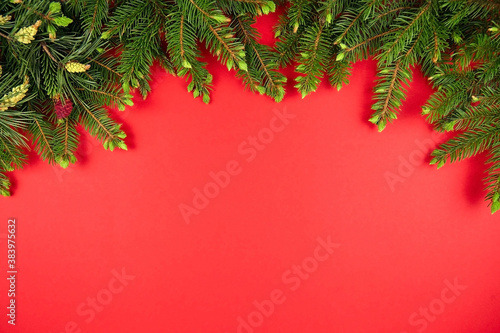 Christmas holiday red background  green fir tree branches. New Year flat lay  top view