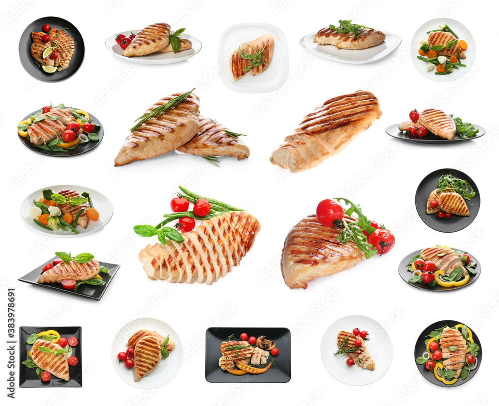 Set of grilled chicken breasts on white background Set of grilled chicken breasts on white background