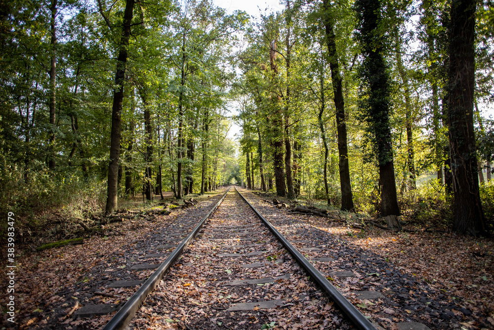 Railway in the forest of Cologne, Germany