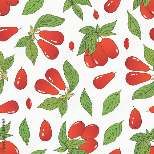 Organic collection. Vector hand drawn seamless pattern with barberry and european cornel plants on a white background