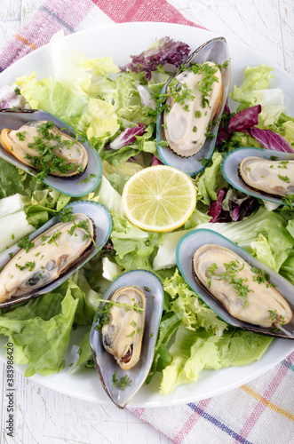 green lipped mussels from new zealand photo