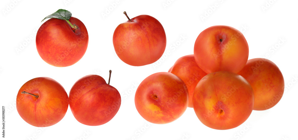 Set of fresh ripe plums on white background. Banner design Set of fresh ripe plums on white background. Banner design