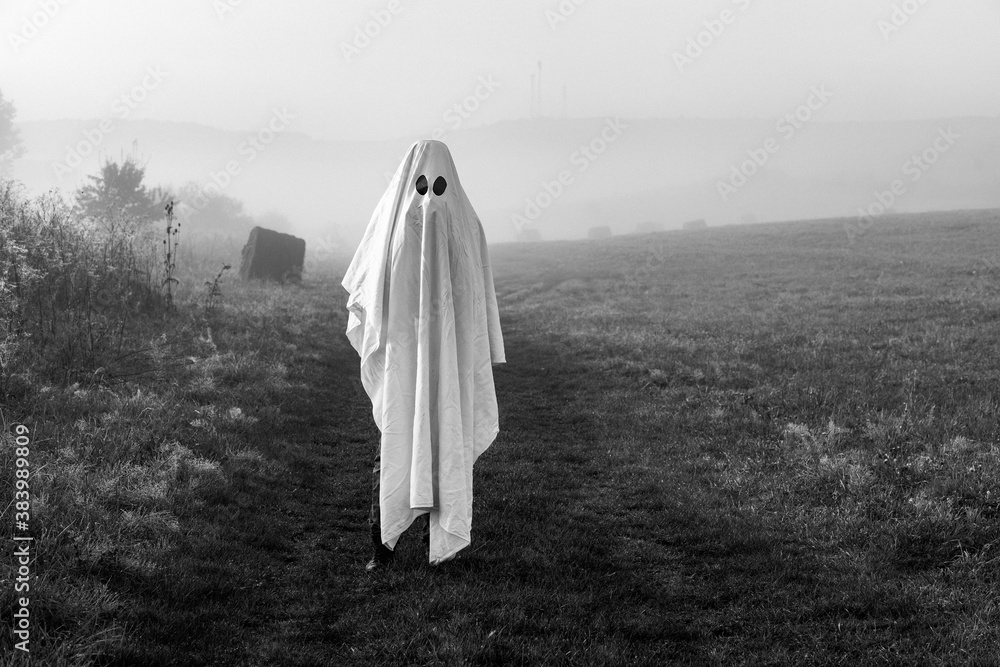 Φωτογραφία halloween ghost in foggy landscape