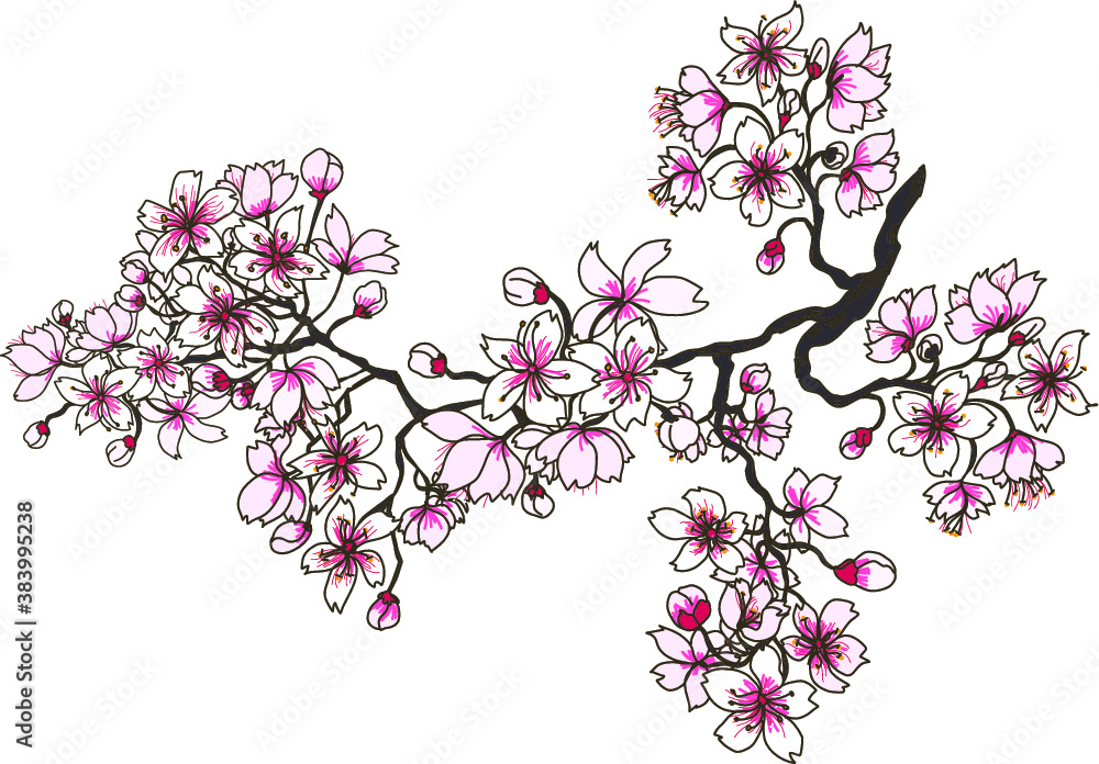 Naklejka premium hand drawn sakura flower or Cherry branches vector set.Hand drawn sakura flower or Japanese cherry blossom vector.Plum flower vector set.Peach blossom isolate on white backgroud