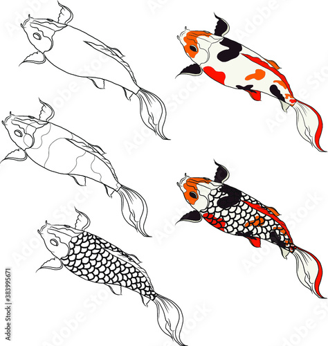 Hand drawn Koi fish isolate vector set and Koi carp Japanese tattoo.Element of carp fish, isolate, silhouette, and colorful.