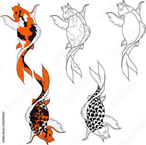 Hand drawn Koi fish isolate vector set and Koi carp Japanese tattoo.Element of carp fish, isolate, silhouette, and colorful.