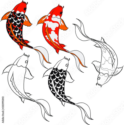 Hand drawn Koi fish isolate vector set and Koi carp Japanese tattoo.Element of carp fish, isolate, silhouette, and colorful.