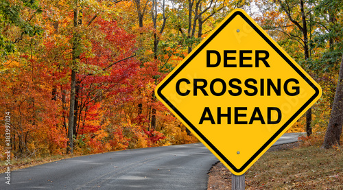 Fotografija Deer Crossing Warning Sign