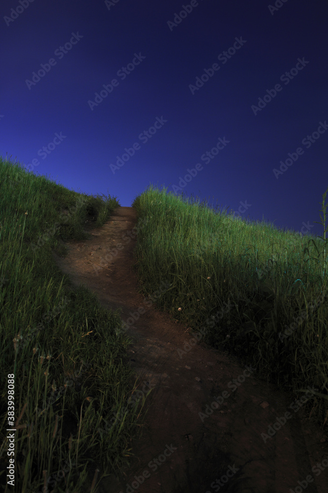 夜の小径 夜の小径