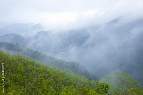 雨上がりの山麓