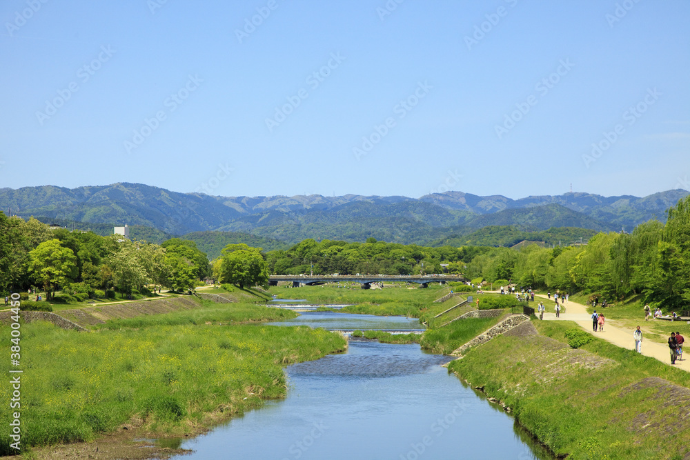 春の京都鴨川