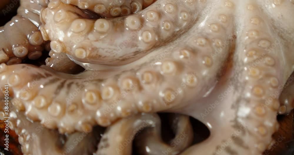 Raw octopus on a wooden cutting board. 