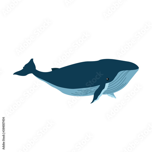 Isolated whale animal vector design