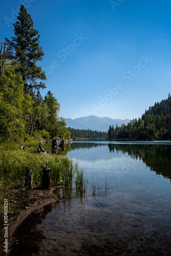 Reflection of Forested Mountains Across a Calm Lake in Montana