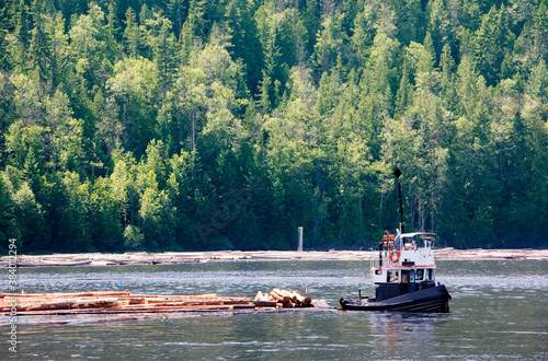 Obraz na płótnie Coastal Logging