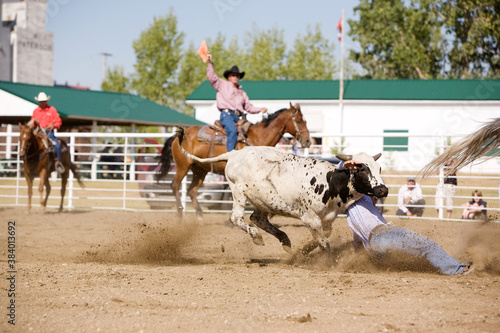 Steer Wrestling