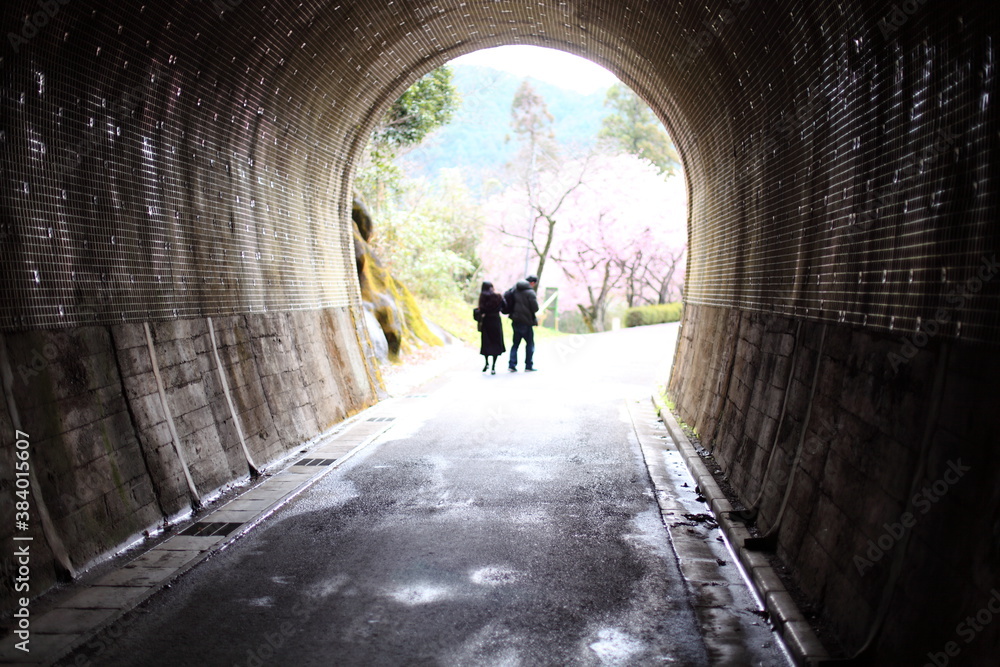 トンネルとカップルと河津桜 トンネルとカップルと河津桜