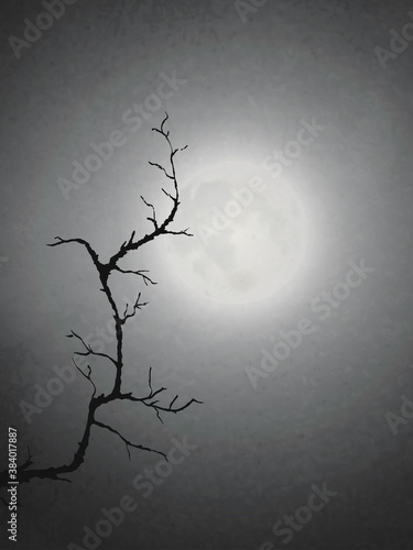 A Dead Tree Under The Moonlight, Illustration