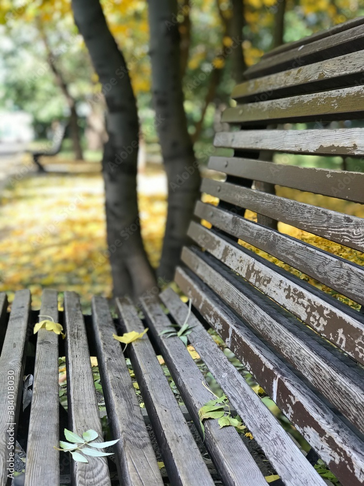 bench in autumn park bench in autumn park