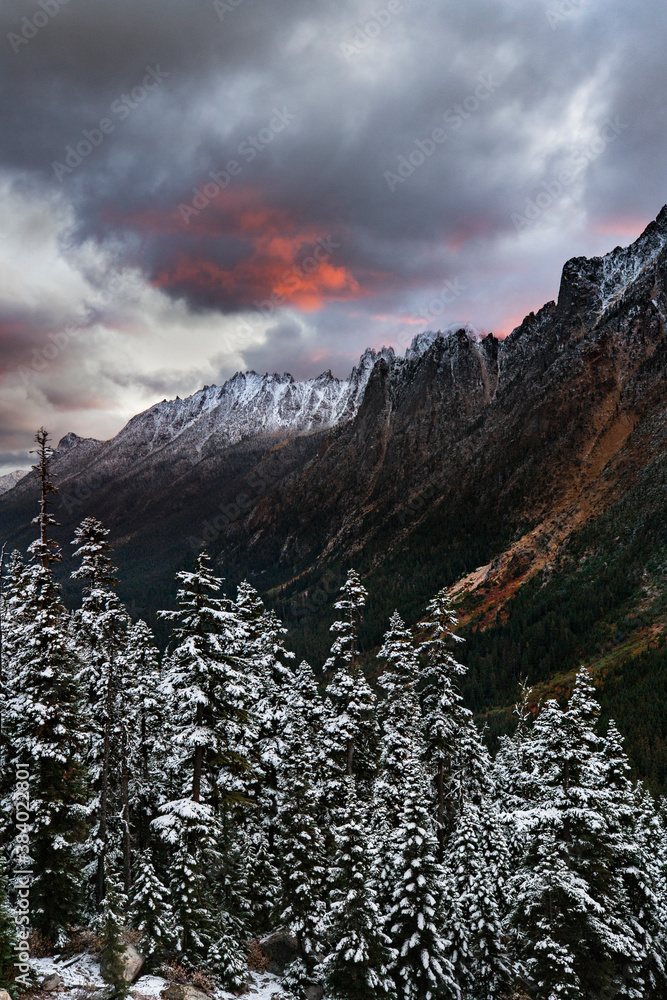 Snowy landscapes of the Northern Cascades mountains in Washington State. Washington Pass has craggy peaks and deep valleys with larch trees, fog, snow, and mist. 