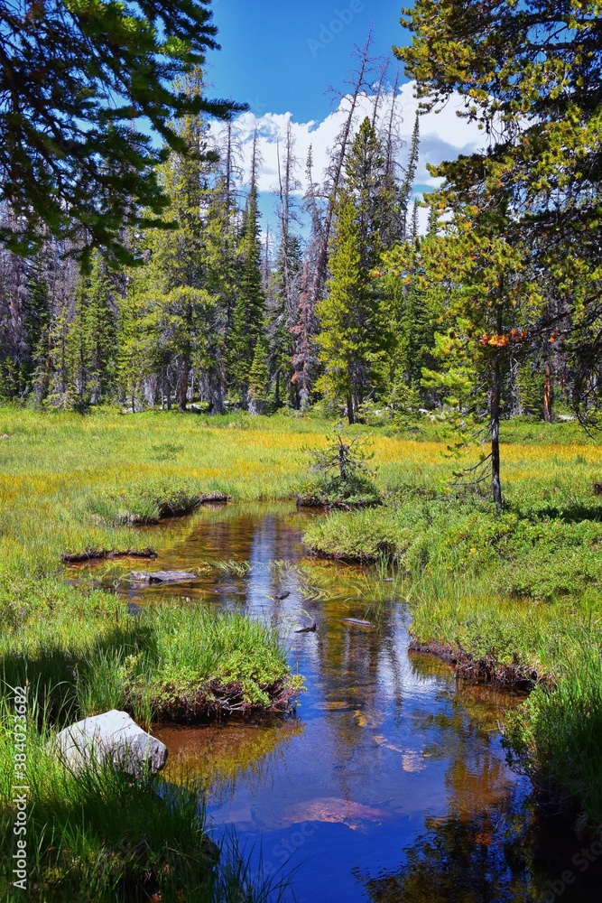 Lake Cuberant hiking trail views of ponds, forest and meadows around Bald Mountain Mount Marsell in Uinta Mountains from Pass Lake Trailhead, Utah, United States. Lake Cuberant hiking trail views of ponds, forest and meadows around Bald Mountain Mount Marsell in Uinta Mountains from Pass Lake Trailhead, Utah, United States.