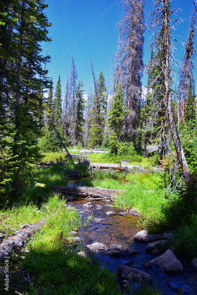 Lake Cuberant hiking trail views of ponds, forest and meadows around Bald Mountain Mount Marsell in Uinta Mountains from Pass Lake Trailhead, Utah, United States. Lake Cuberant hiking trail views of ponds, forest and meadows around Bald Mountain Mount Marsell in Uinta Mountains from Pass Lake Trailhead, Utah, United States.