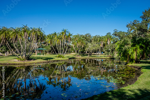 Florida Pond 4
