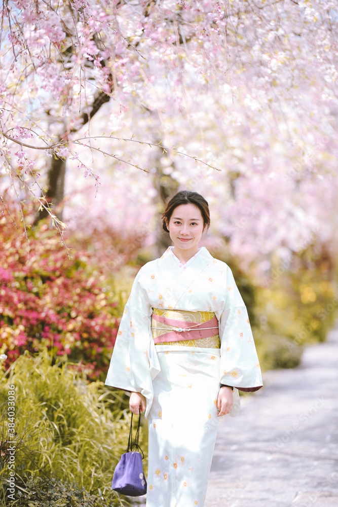 Girls Wearing Kimono with cherry blossoms in spring, Kyoto, Japan Girls Wearing Kimono with cherry blossoms in spring, Kyoto, Japan
