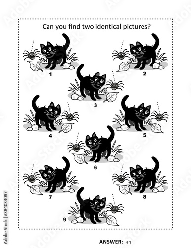 Halloween puzzle page with black cat: Can you find two identical pictures? Answer included.
