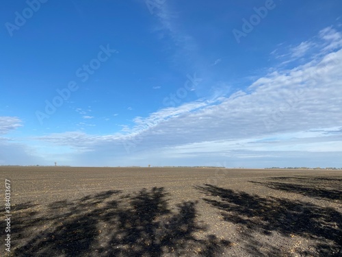 plowed field and blue sky