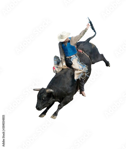 Bull Riding photo